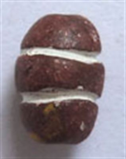 Clay Beads