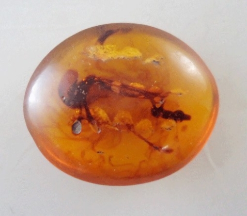 Resin Beads