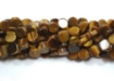 Tiger Eye Coin Beads